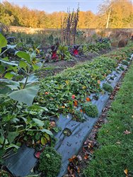 tourville-sur-arques (22)